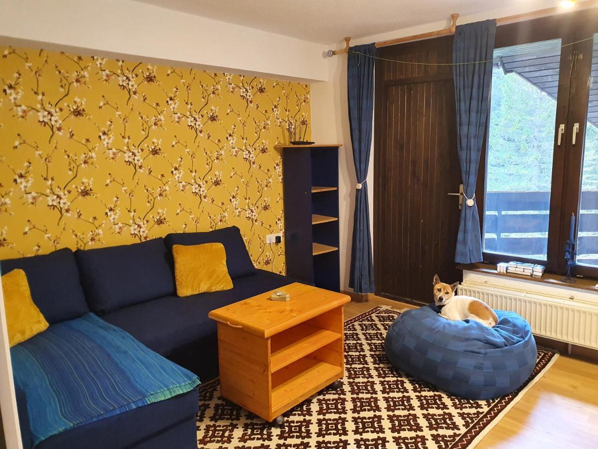 M & M Apartment Krvavec Cerklje na Gorenjskem Dış mekan fotoğraf