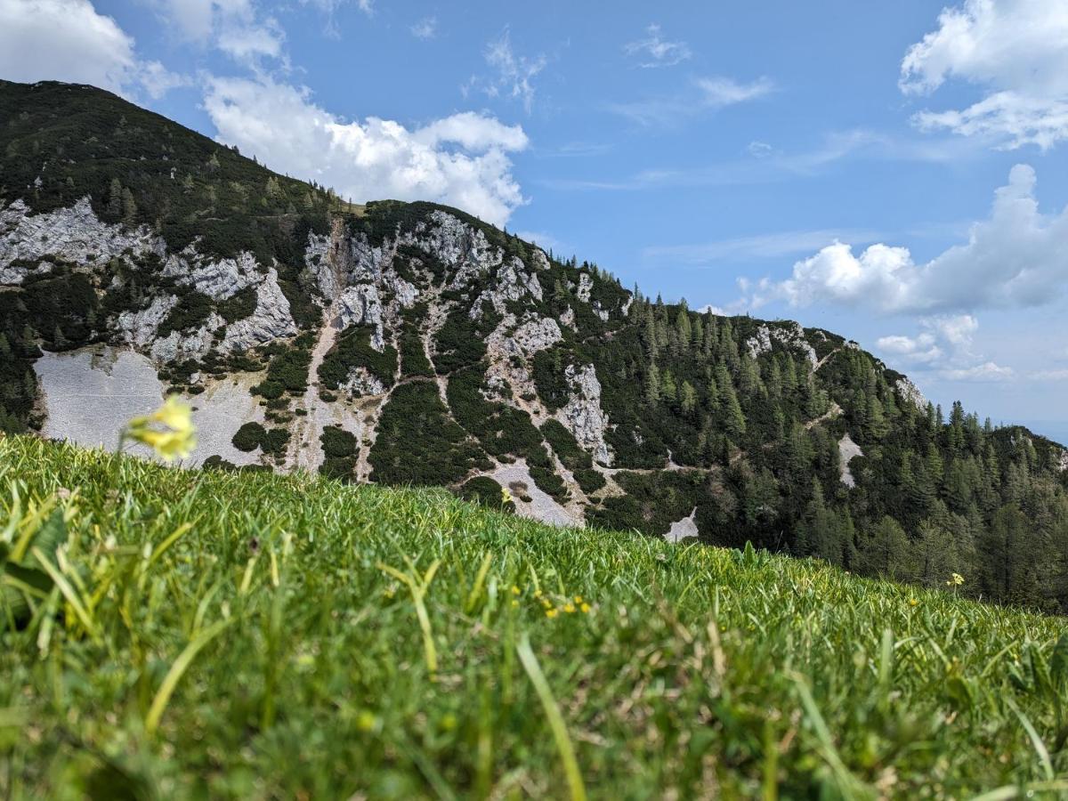 M & M Apartment Krvavec Cerklje na Gorenjskem Dış mekan fotoğraf