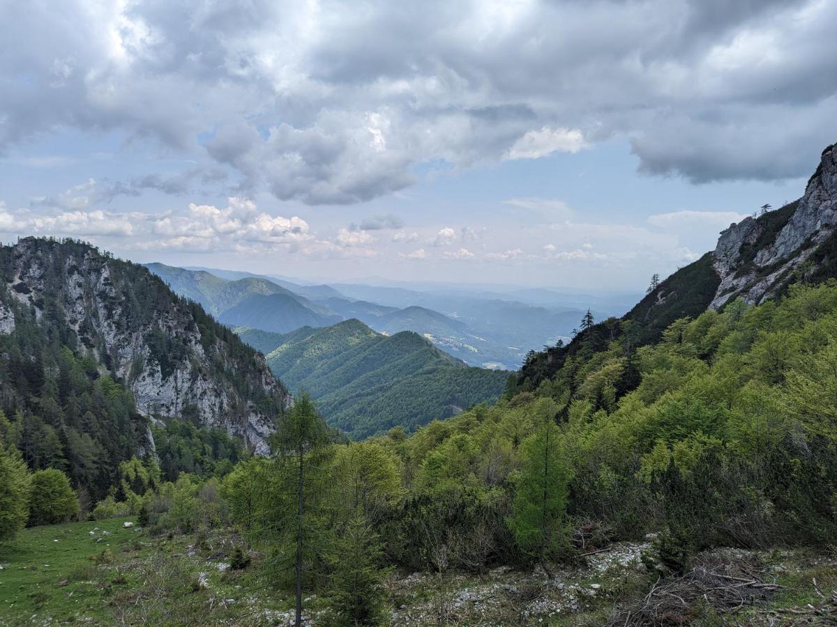M & M Apartment Krvavec Cerklje na Gorenjskem Dış mekan fotoğraf